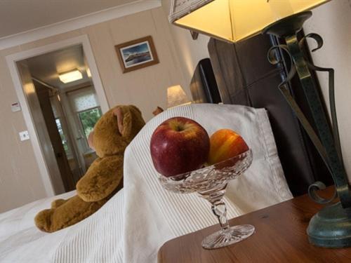 The Overscaig House Hotel Номер фото